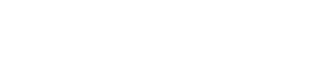 QI_Logo_150_NoTag white